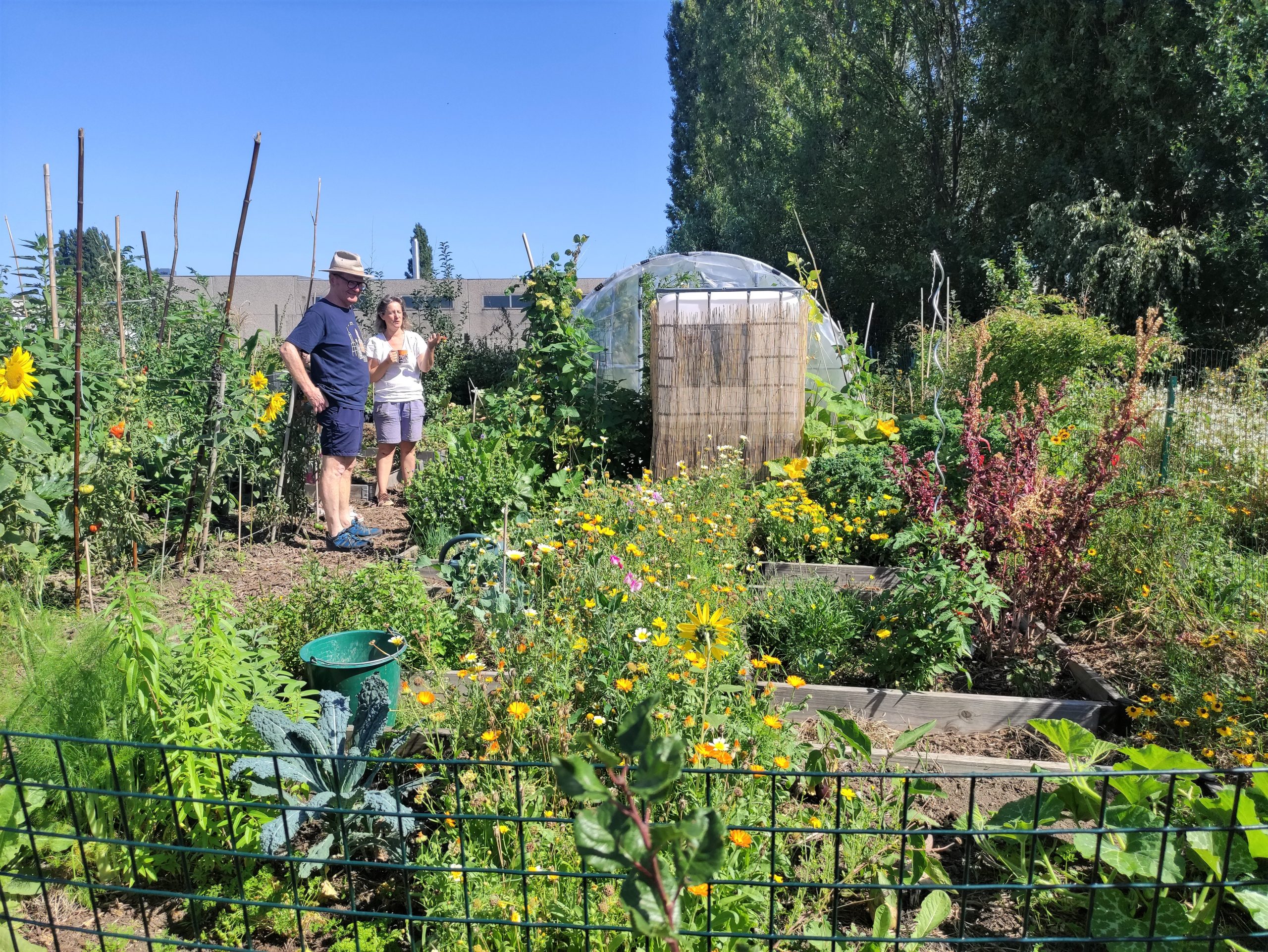 Jardin potager : 5 étapes pour le préparer au printemps